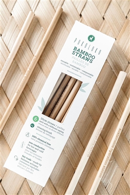 Bamboo Straws Box of 6