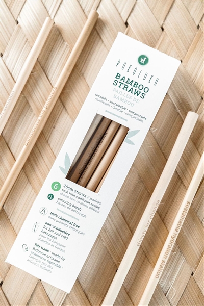 Bamboo Straws Box of 6