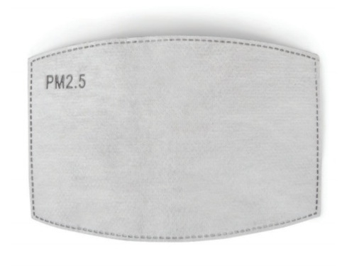 Face Mask PM 2.5 Filters One Size - Pack of 10